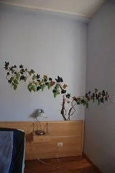 Mastro Marino מלון *